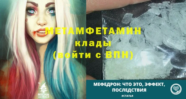 прущие грибы Новокубанск
