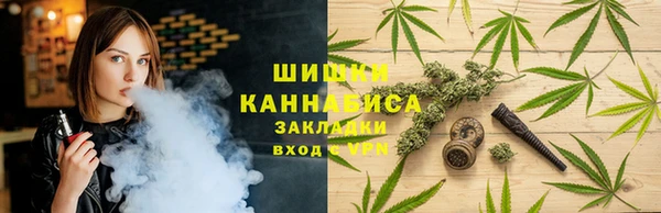 прущие грибы Новокубанск