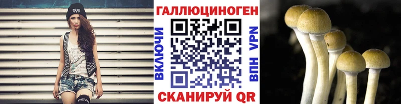 цены   Сургут  Псилоцибиновые грибы Cubensis 