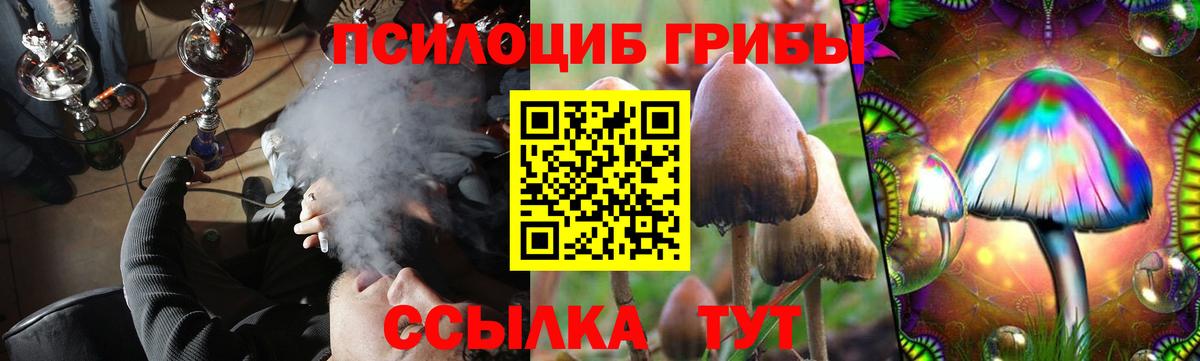 Галлюциногенные грибы GOLDEN TEACHER  продажа наркотиков  Сургут  Вход с VPN 