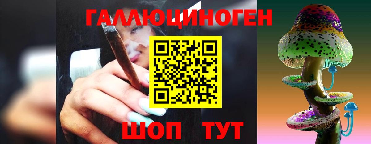 Псилоцибиновые грибы GOLDEN TEACHER Сургут