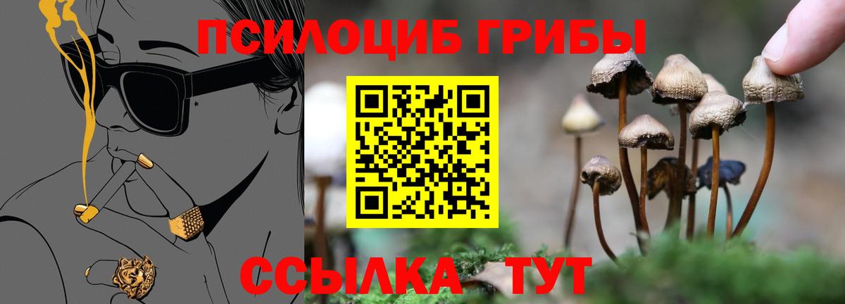 Галлюциногенные грибы GOLDEN TEACHER Сургут