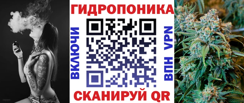 Каннабис OG Kush Сургут